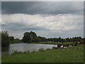 River bend on the Thames Path nr King's Lock in OX29 4FL