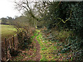 Cumbers Lane, heading towards Mill House Farm in GU31 5EQ