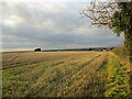Stubble field, Mareham on the Hill in LN9 6PQ