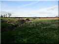 Access land and drain, Low Hameringham in Hameringham