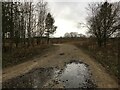 Track near Wombleton Airfield in YO62 7RU