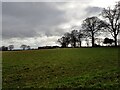 Looking towards Coughton Lodge from Coughton Park in B49 5JL