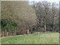 Horse and rider on bridleway Coughton Park in B49 5JL