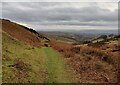 Path descending a valley towards Cockshutford in SY7 9HX