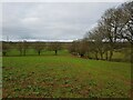 Fields off footpath, near Hanging Well, Warwickshire in B96 6NE