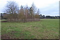 Tumulus by the lane to Grange Farm in NN2 8ES