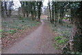 Path through Billing Arbours to Holmecross Road in NN3 8NN