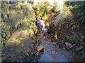 Tiny waterfall in Benarty Woods in KY5 8QB