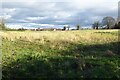 Field opposite Clehonger Court in HR2 9SF