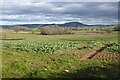 View over farmland south of Grafton in HR2 9RU
