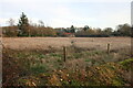 Field in Braziers End in HP23 6NF