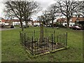 Village Green And Medieval Cross, Egglescliffe in TS16 9DQ