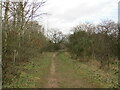 Footpath, Idle Valley Nature Reserve in DN22 8SD