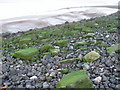 Dee estuary - below the sewage outlet in Mostyn Community