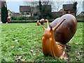 Snails in the park at Walnut Tree in MK7 7AE