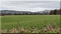 Field by the Shropshire Way (Bromfield) in SY8 2LB