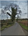 Approaching Ireton's Farm on Goodwin's Lane in DE56 2UP