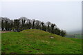 Tumulus on Court Hill in BA12 7HF