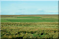 Grassland west of the A9 near Achavanich in Wick and East Caithness Ward
