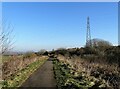 Looking along the old railway in Stanley