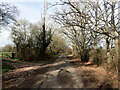 Lane near Cold Harbour in TN27 9EW