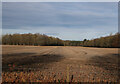 Stubble field by Cockley Cley Road in PE37 8BP