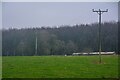 Cleeve : Grassy Field in BS40 5PW