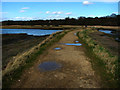 Footpath Warsash, heading towards Bunny Meadows in SO31 4PL