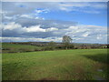 View towards Woodborough from Hungerhill Lane in Dumbles Ward