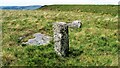 Langfield Common Boundary Stone in OL14 6JJ