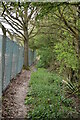 Footpath by sewage works in TN27 9NY