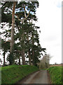 Narrow country lane in IP25 7QT