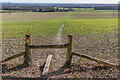 Footpath to Paddlesworth Farm in Snodland West & Holborough Lakes Ward