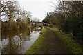 Trent & Mersey canal at bridge #157 in CW11 3QX