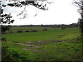 View southwest across fields in IP25 7QT