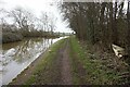 Trent & Mersey canal towards bridge #149 in CW11 4XS