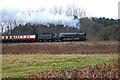 Britannia on the 'big railway' in DY9 0JD