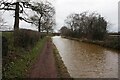 Trent & Mersey canal towards bridge #134 in Church Lawton