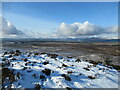 View over Stockie Muir towards Loch Lomond in G63 9AX