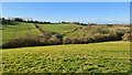 Farmland near Barlborough in S43 4TN
