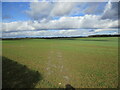Footpath to South Witham in Thistleton