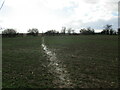 Muddy footpath to Greetham in Thistleton
