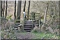 Footbridge/stile in WA16 8FB