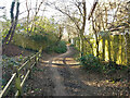 Footpath 81W, Maidenbower, Crawley in RH10 7LU