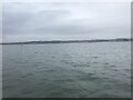 View from a boat heading to Brownsea Island in BH14 8EH