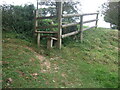 Stone Stile Nr Highgrove, Painswick GS1001 in GL6 6SS