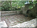 Surrounding the Holy Well in TA7 9LF