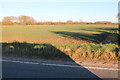 Field by Long Causeway, Coveney in CB6 2FY