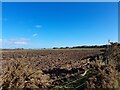 Ploughed Field at Hilton in IV19 1LZ