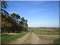 Farm track at Martinsthorpe in Martinsthorpe